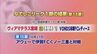 ヴィアマテラス宮崎の結果　|　MRTニュース ｜ ＭＲＴ宮崎放送