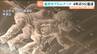 「幻想的な空間を楽しんで」電気代高騰などで休止していた地下鉄駅の”星空のプロムナード”復活へ　仙台　|　宮城のニュース│tbc NEWS│tbc東北放送