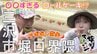 “〇〇すぎる”ロールケーキに驚き！人気のパン店で大量購入！そしてボリューム満点中華で大満足！三沢市堀口界隈でアポなし散歩【わっち!!旅々スミマセン】8月18日放送回見逃し配信　|　青森のニュース│ATV NEWS│青森テレビ