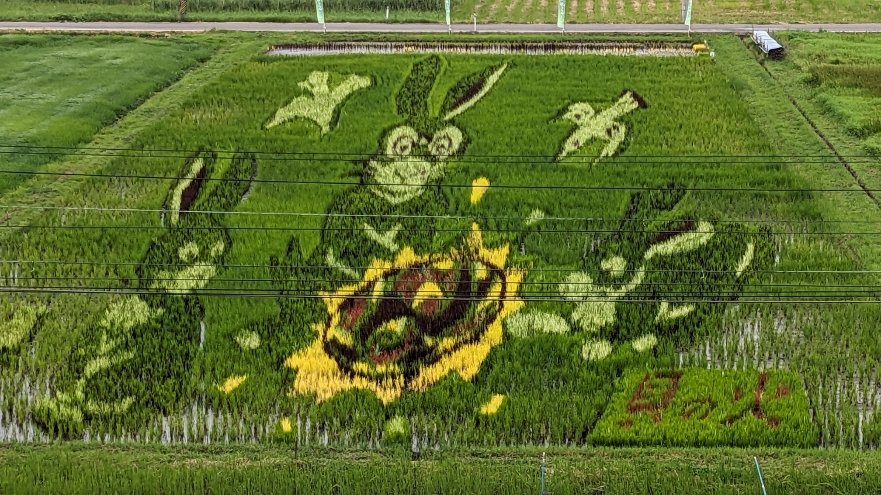 鬼越 玉髄 宮沢賢治 岩手県 希少 img_b53955097bd8c77630fc0ebe3f