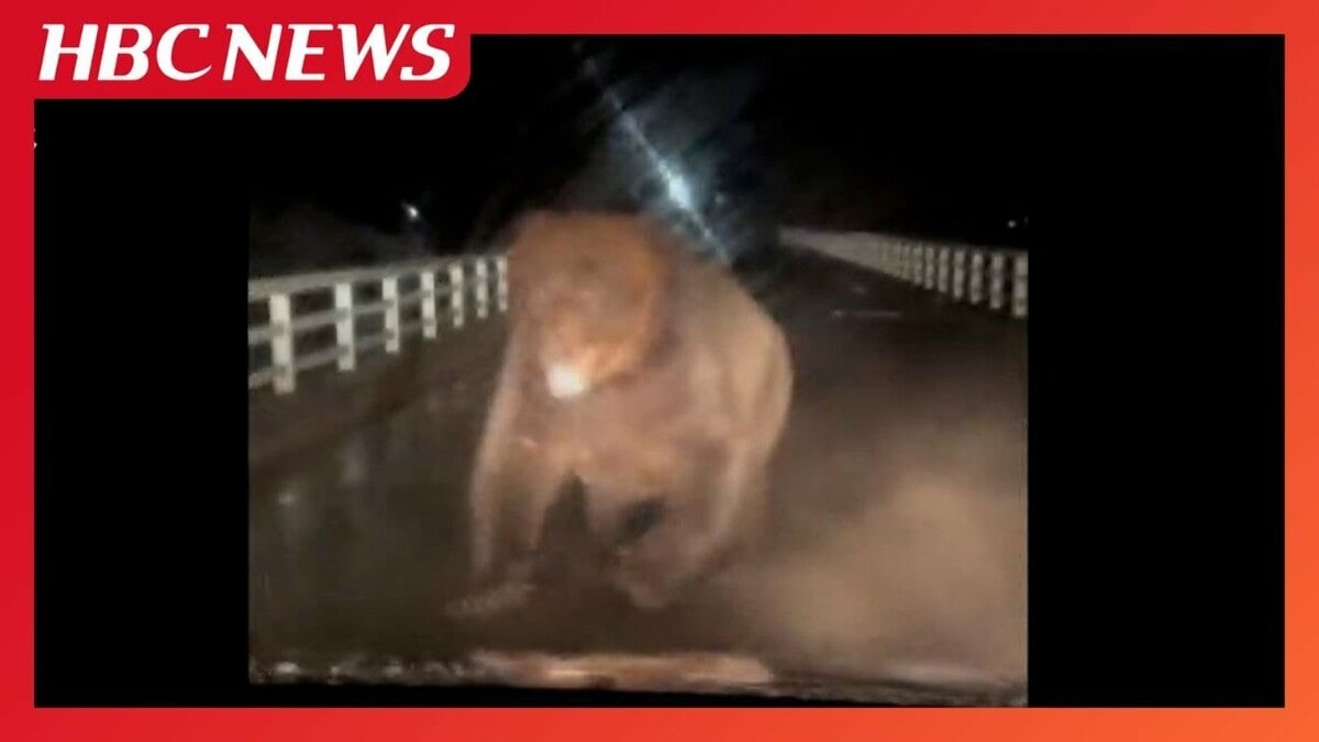 クマ襲撃】巨体を揺らしながら走行中の車に突進…ボンネットが破損