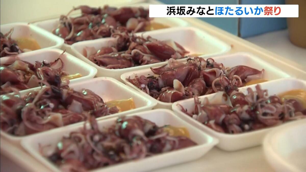 ホタルイカ祭りで春の味覚を満喫！