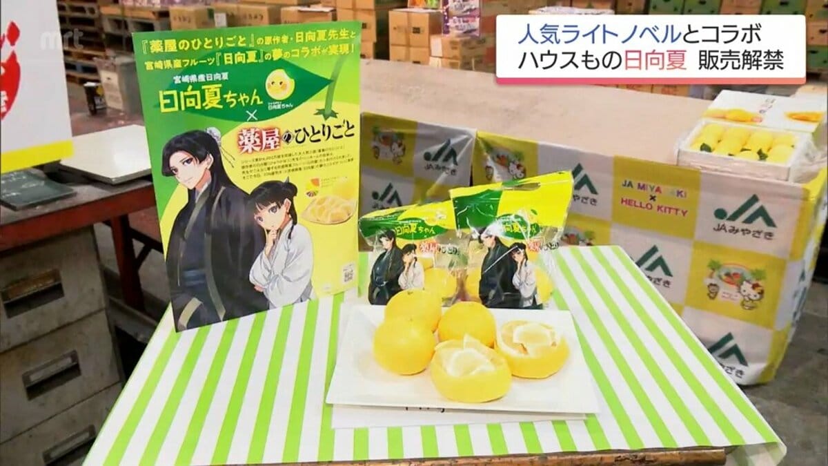 ハウスもの「日向夏」の販売が解禁 人気ライトノベル「薬屋の