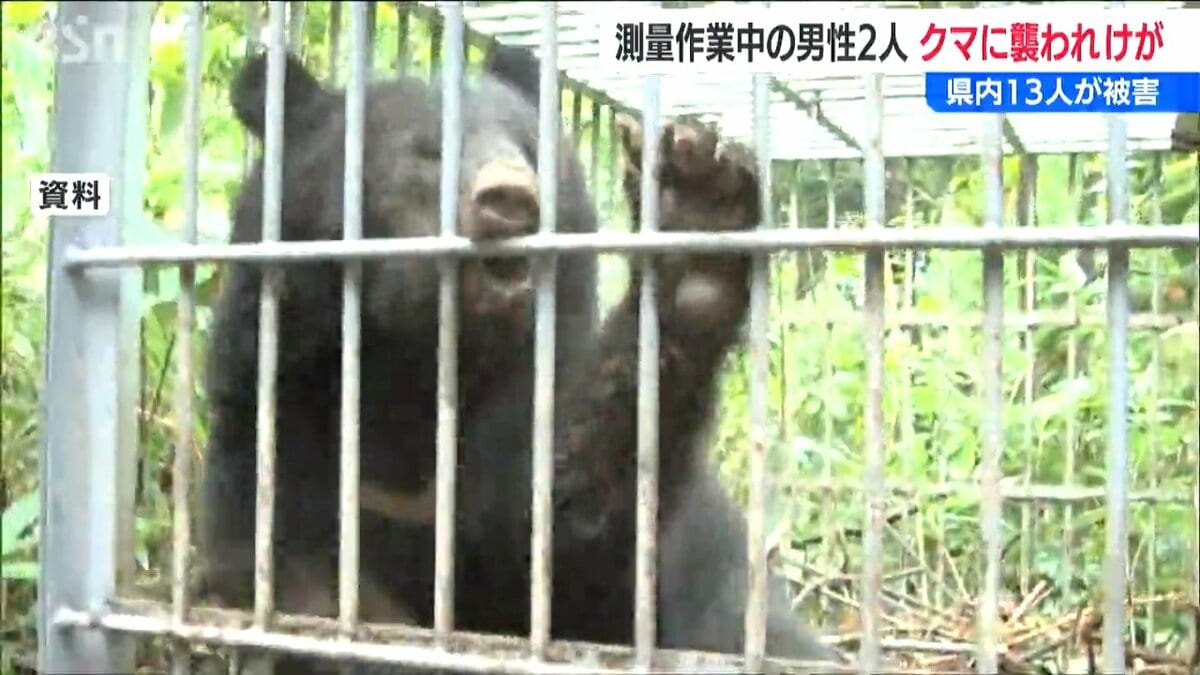 山林で測量作業中にクマ 襲われた男性2人けが 県内の人身被害は13人に