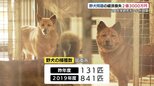 野犬がもたらす2億3000万円の経済損失…数字で見える負担と見えない犬の命を救おうとする現場の思い 山口|TBS NEWS DIG