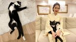 【ねこ】藤あや子さん　愛猫の絶妙な “ヘソ天” 姿に「科捜研に出動要請」　フォロワーも愛猫のヘソ天姿を投げ合う|TBS NEWS DIG