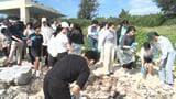 「きれいにしてもらったビーチで泳いでいたんだ…」修学旅行生がビーチ清掃 宮古島市|TBS NEWS DIG