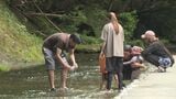 「岳切渓谷」暑さを忘れる2キロの沢歩き 一枚岩の「水流遊歩道」 茶屋で癒しのひとときも 大分|TBS NEWS DIG