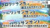 「東北産小麦や宮城県産イチゴなど使った商品販売」仙台市とフジパンが連携協定を結ぶ|TBS NEWS DIG