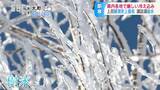 「寒さを通り越して寒い…」氷点下27度!信州・上田市菅平高原で全国最低気温、諏訪湖は今季初の全面結氷 長野|TBS NEWS DIG