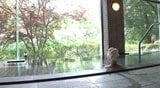 「楽しみにしていた」待ちわびた地元の人が…「震度5強」地震で被害受けた長野・大町市の温泉宿泊施設が営業再開「地区のコミュニティの場、皆さんが気軽に自由に出入りできるように…」 | SBC NEWS | 長野のニュース | SBC信越放送