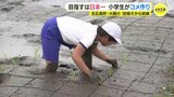 目指せ！コメ作り日本一　小学生が田植え学習　広島･北広島町|TBS NEWS DIG