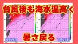 台風通過後も海は“温かいまま” 来週「35℃以上」の暑さ戻る…熱中症に厳重警戒! | 沖縄のニュース|RBC 琉球放送