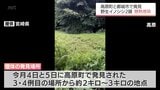宮崎県内5例目・6例目 高原町と都城市高崎町で野生イノシシから「豚熱」の感染確認 | MRTニュース | MRT宮崎放送
