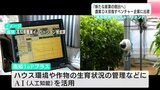 「新たな産業の創出へ」農業DX目指すベンチャー企業に出資 | 高知のニュース・天気|KUTV NEWS | KUTVテレビ高知