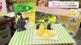 ハウスもの「日向夏」の販売が解禁　人気ライトノベル「薬屋のひとりごと」とのコラボパッケージも数量限定で登場　|　MRTニュース ｜ ＭＲＴ宮崎放送