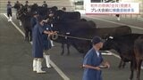 和牛の祭典 北海道「全共」を見据たプレ大会を前に　宮崎県内で牛の検査会始まる　|　MRTニュース ｜ ＭＲＴ宮崎放送