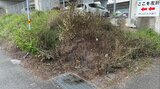 「雑草が燃えている」通報も、消防到着時に火は消えていた⋯市街地の高架下で火事、焼け跡には熱で溶けた空き缶も 警察が出火原因を捜査【高知】 | 高知のニュース・天気|KUTV NEWS | KUTVテレビ高知