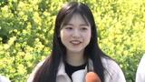 「圧巻ですね」一面の菜の花の壁 例年より早く満開に 愛媛・伊予市 | 愛媛のニュース - Nスタえひめ|あいテレビは6チャンネル