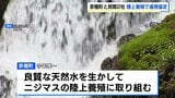 官民連携でニジマスの陸上養殖　良質な天然水に恵まれた自治体とプラント技術や流通・商品開発力を持つ民間企業が協定　2029年度初出荷予定　北海道京極町|TBS NEWS DIG