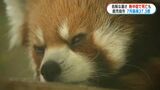 7月観測史上最高“鹿児島市37.3度”動物園では人も動物も暑さ対策|TBS NEWS DIG