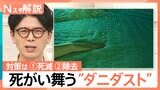 「蓄積した死がいとフンが最も多くなるのが9月」“ダニダスト”にご注意 週一回以上の対策を!【Nスタ解説】|TBS NEWS DIG