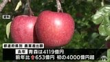 農業産出額 青森県が初の4000億円超えで全国5位 東北では21年連続1位 品目別ではリンゴが1171億円 米955億円 豚313億円 | 青森のニュース│ATV NEWS│青森テレビ