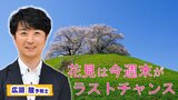 花見は今週末がラストチャンスも「季節外れの暑さ」に注意！　“のんびり開花”の原因は３月の気温か…平均気温がほぼ２月並み【MBSお天気通信】|TBS NEWS DIG