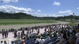 岩手競馬盛岡開催スタート 11月にはJBC競走も/岩手・盛岡市|TBS NEWS DIG