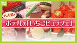 「いちごビュッフェでホテルの格が決まる」今年も高級ホテルが熾烈な戦い！『キラキラのギャル文化スイーツ』『自分だけのいちごパフェ』『甘×辛で無限に食べられるビュッフェ』あなたはどれを選ぶ？|TBS NEWS DIG