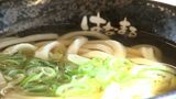 全国展開の “はなまるうどん” が20年ぶりに本社を高松市にUターン移転 ブランドの進化目指して原点回帰【香川】 |TBS NEWS DIG
