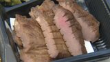 ギョーザ、海鮮、牛タン、フルーツ… 東北の人気グルメが大集合!「大東北展」始まる | 愛媛のニュース - Nスタえひめ|あいテレビは6チャンネル