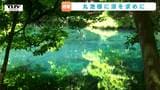 幻想的なエメラルドグリーンの水面 「丸池様」に広がる涼しげな風景(山形・遊佐町)|TBS NEWS DIG