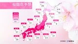 【桜の開花予想】トップは東京・福岡で3月21日　全国で平年並みか早い予想　＜主な地点の開花予想日掲載＞|TBS NEWS DIG