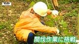 児童が森の間伐に挑戦　「全身が震えてびっくり！」のこぎりとチェーンソーを体験　森の木の育ち方を学ぶ（山形・鶴岡市）　|　山形のニュース│TUYテレビユー山形