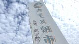 かつてのにぎわいを取り戻せ 岡山市南区の「カモメ朝市」にぎわう 総社市にオープンした和食店も初出店【岡山】|TBS NEWS DIG