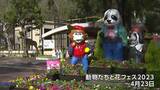 「100年以上続いていくように」開園70年 池田動物園で花3万本と動物がコラボレーション【岡山】|TBS NEWS DIG