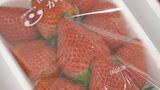 「皆さんにおいしく食べていただけるように頑張る」本格的な出荷を前にイチゴの目合わせ会 山口県下関市|TBS NEWS DIG