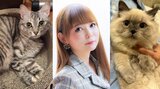 【中川翔子】愛猫ショコラとアクアを悼む　数か月前に「身をちぎられるような悲しみ」「ずっとずっと大好きだよ」|TBS NEWS DIG