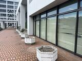 市役所正面入り口の枯れたツバキの鉢植え 「息を吹き返さないか見守る」から一転、市が一斉に伐採 | 愛媛のニュース - Nスタえひめ|あいテレビは6チャンネル