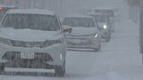甲府20cm、河口湖24cmの大雪 山地や東部・富士五湖を中心に夜遅くにかけ降雪見込み 山梨 | 山梨のニュース | UTYテレビ山梨