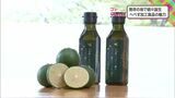 オリーブオイルにサプリメント 発祥の地で続々誕生 幻の柑橘「へべす」加工食品の魅力 | MRTニュース | MRT宮崎放送