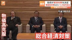 「103万円の壁」引き上げ幅　専門家の提案は「115万円ぐらい」　政府、総合経済対策を閣議決定| TBS CROSS DIG with Bloomberg