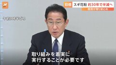 花粉症被害軽減へ花粉発生量を30年で約半減へ　スギの人工林の面積を10年後に2割程度減らす　政府関係閣僚会議で対策全体像まとまる| TBS CROSS DIG with Bloomberg