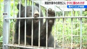 上越市の山林で測量作業の男性2人がクマに襲われ軽傷「新潟県内のクマの人身被害は13人に」 |TBS NEWS DIG