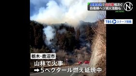 茨城・常陸太田市の住宅・工場火災は山林に延焼中　栃木・鹿沼市の山林でも火事　関東各地で山火事相次ぐ|TBS NEWS DIG