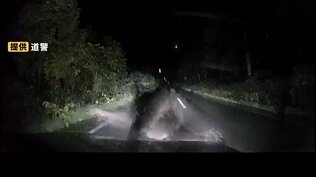 【クマ出没】車に連続で突進「パニックになった」ドラレコが記録した衝突の一部始終 運転手が当時の恐怖を証言 近くには釣りスポット 警察が注意呼びかけ 北海道美深町　|　北海道のニュース｜HBC北海道放送