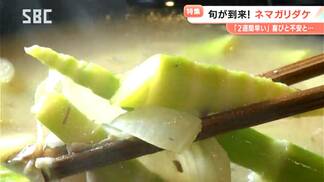 今季は流通量が減る?初夏の味覚「ネマガリダケ」と「淡竹」が早くもシーズン本格化 例年より2週間ほど早い ネマガリダケはサバ缶と一緒にみそ汁で味わうのが定番 淡竹はアク抜き不要の手軽さが人気 長野 | SBC NEWS | 長野のニュース | SBC信越放送