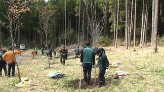 熊本の水資源を守ろう 阿蘇大観の森で新入社員たちが植樹 | 熊本のニュース|RKK NEWS|RKK熊本放送