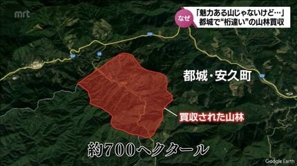 外資系企業が